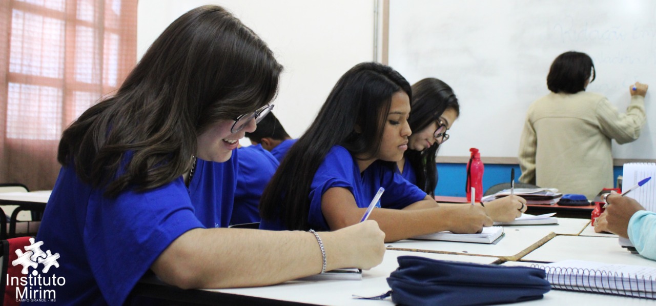 Instituto Mirim