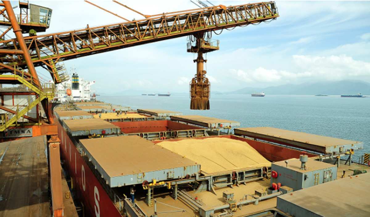 Mato Grosso do Sul e as Exportações