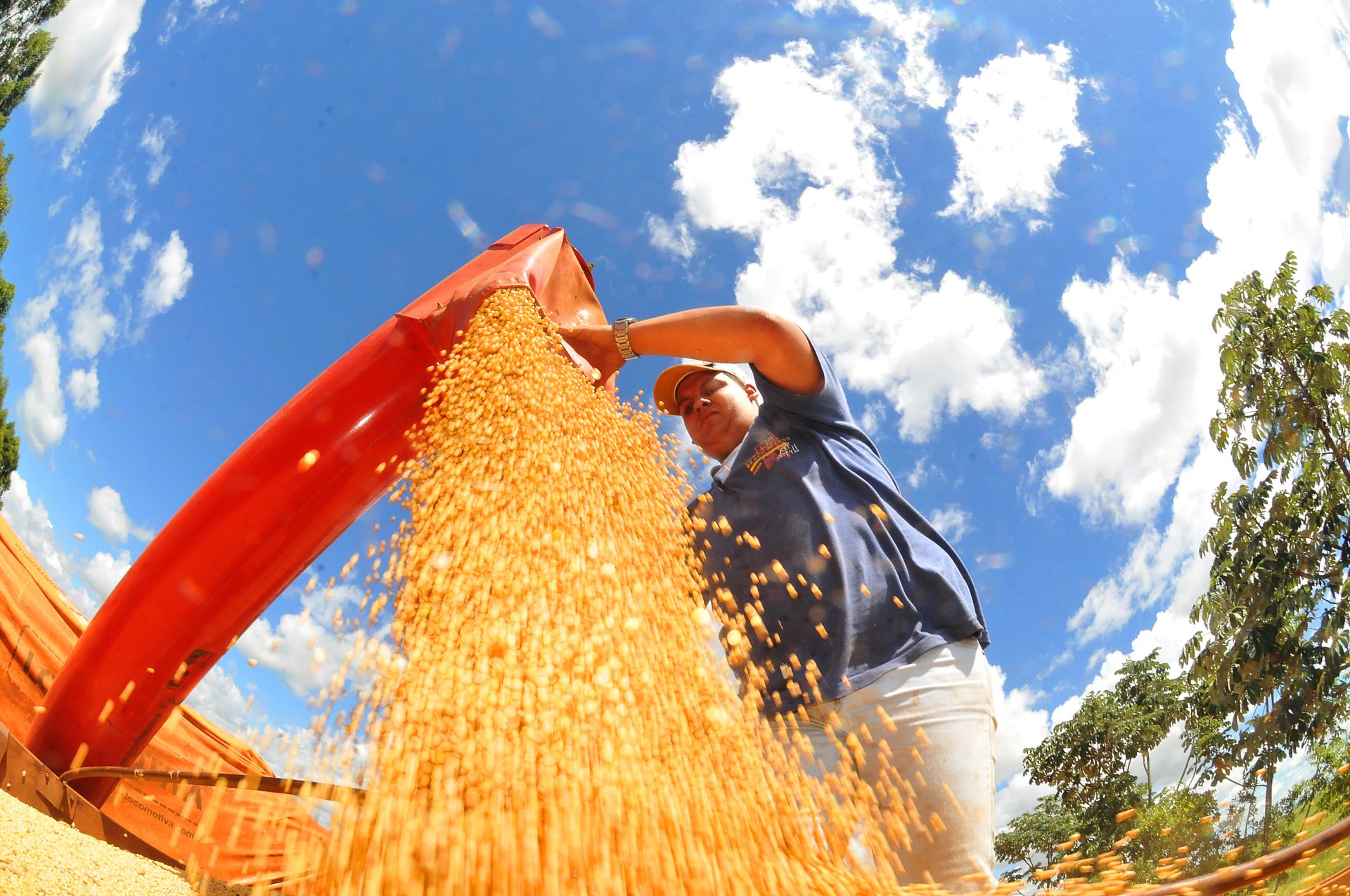 Superávit de US$ 1,5 bilhão e crescimento em exportações marcam o primeiro trimestre de 2024