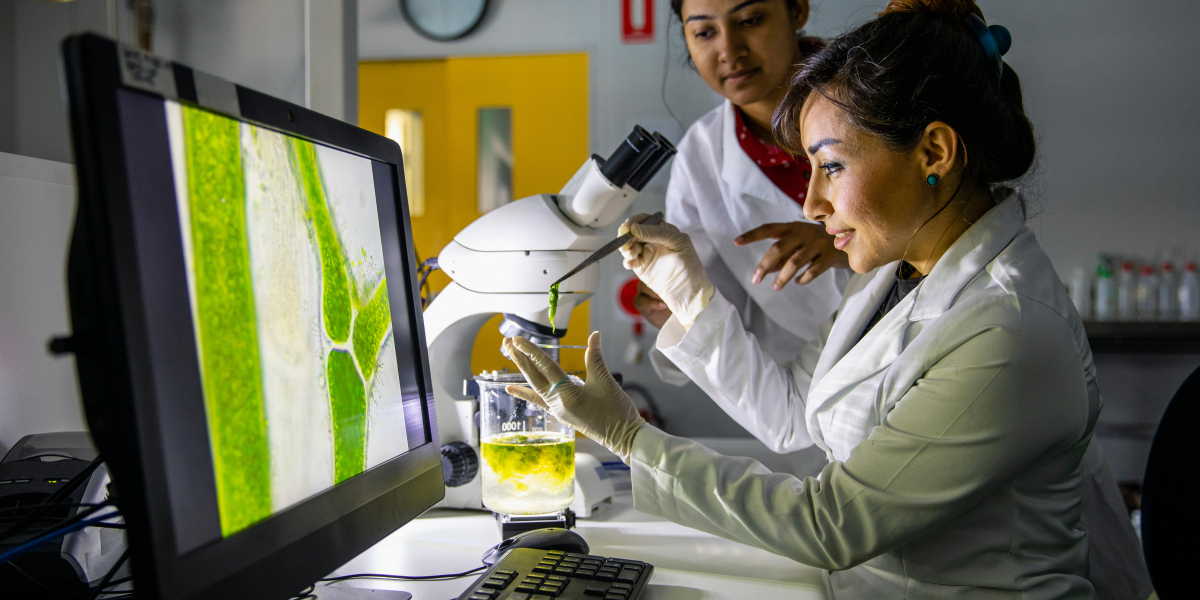 Edital de ciência no MS