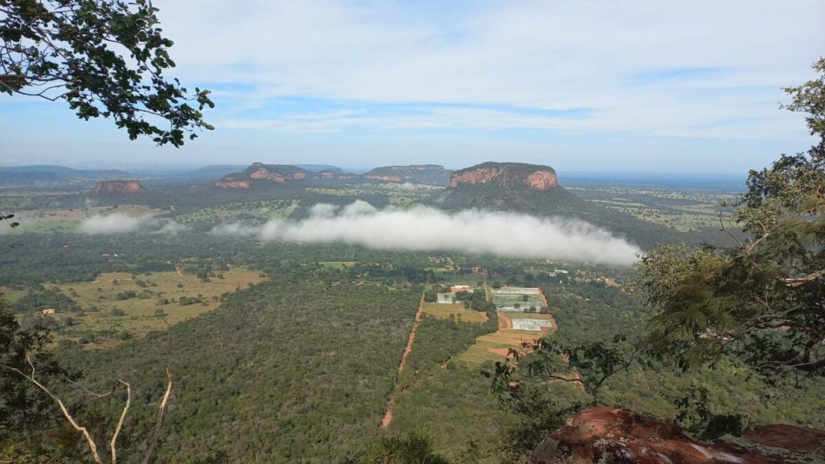 Pantanal Tech MS 2025