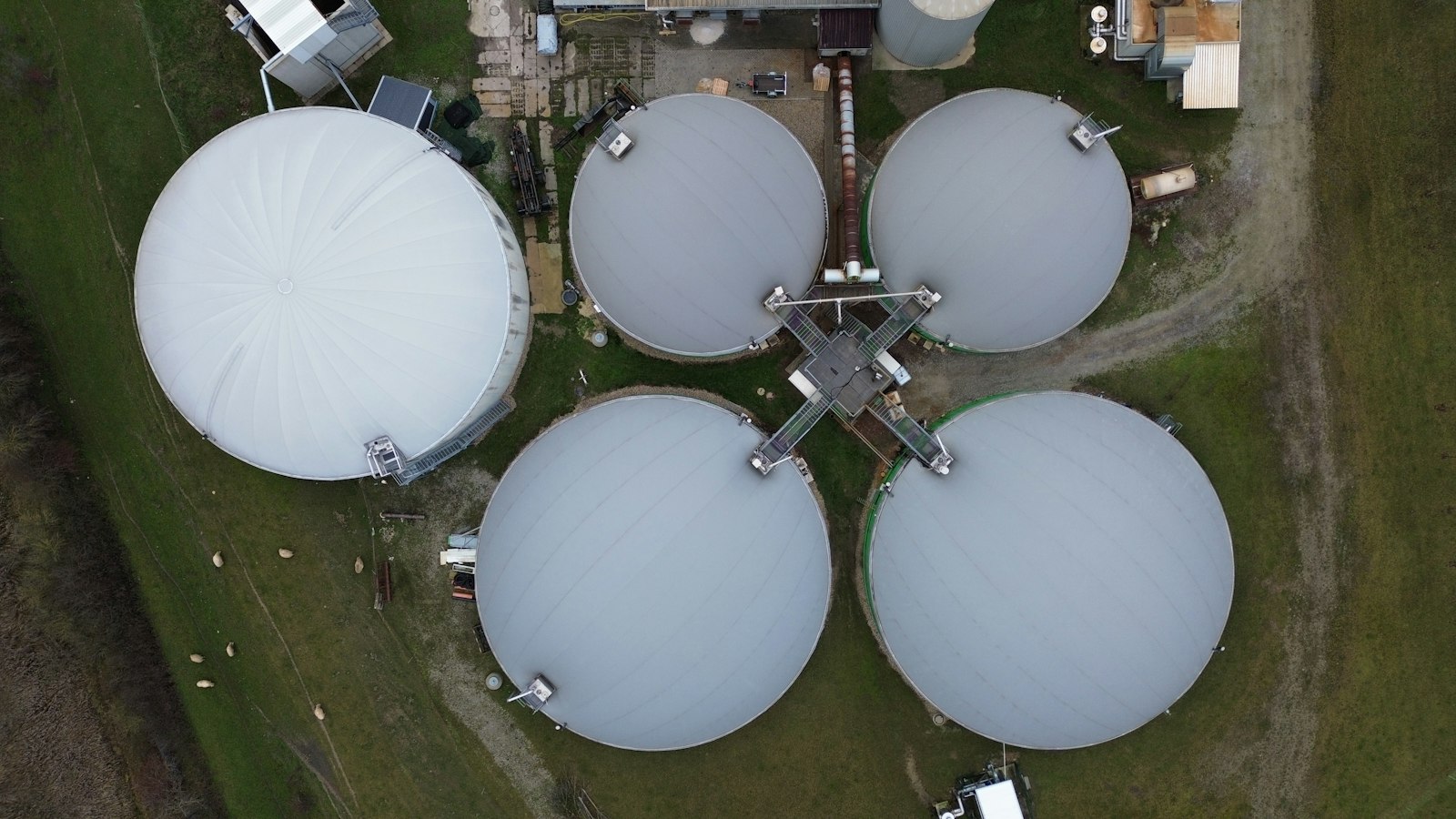Grandes tanques brancos de biodigestão em meio a um campo verde