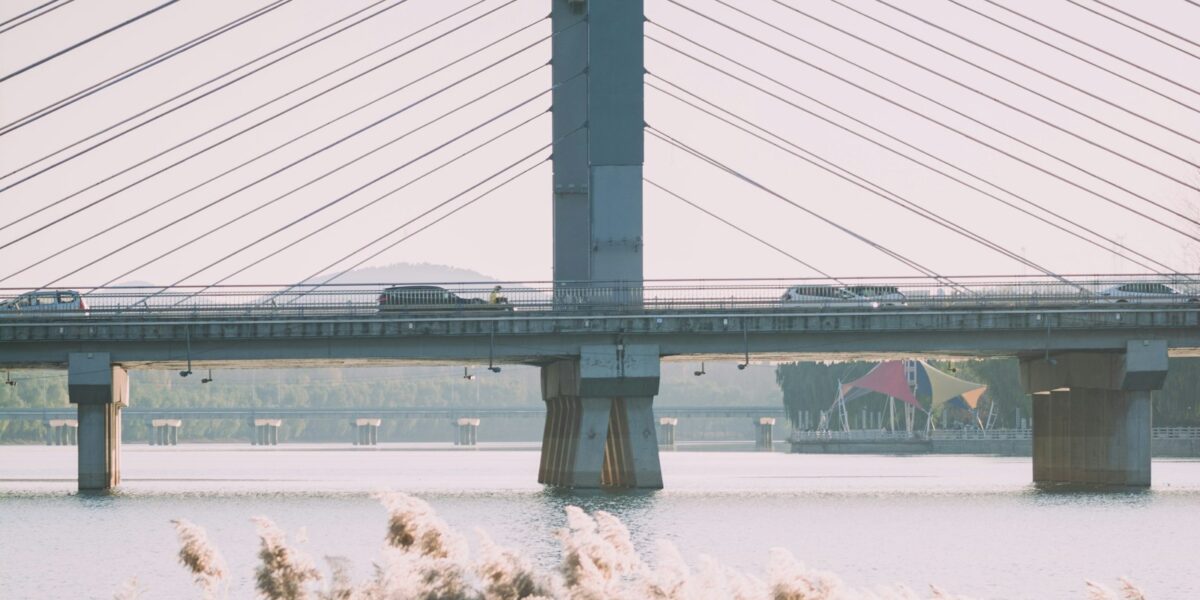 Ponte moderna estaiada sobre águas calmas, com vegetação de juncos em primeiro plano