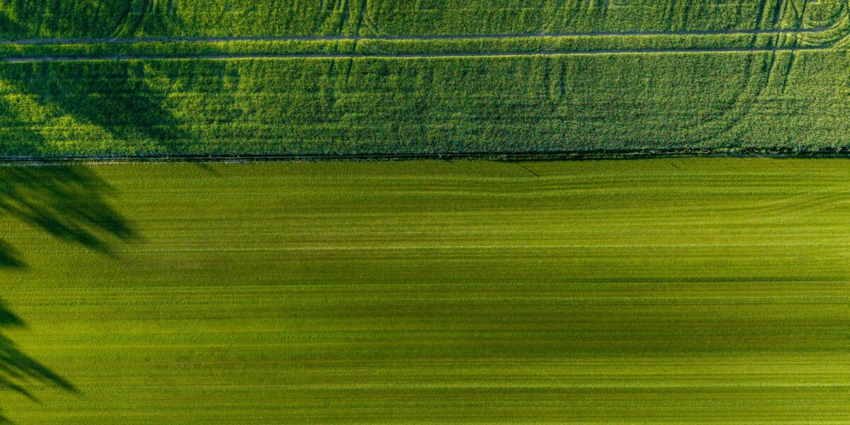 Vista aérea de lavoura com sistema de irrigação