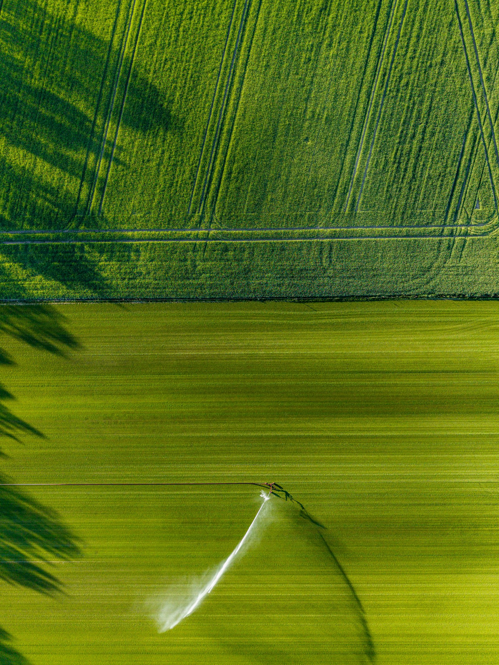 Vista aérea de lavoura com sistema de irrigação