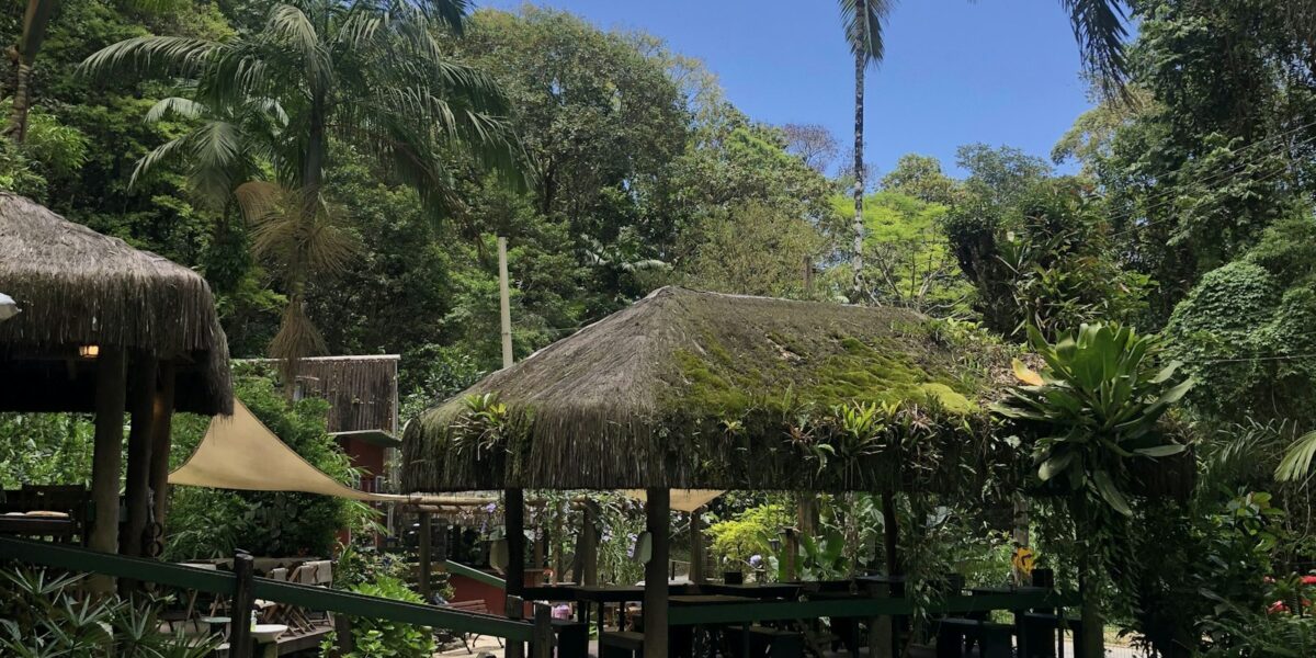 Piscina rodeada por vegetação exuberante e palmeiras