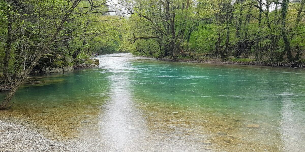 Rio de águas claras atravessando uma floresta verde e densa