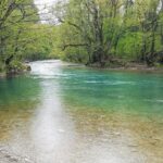 Rio de águas claras atravessando uma floresta verde e densa