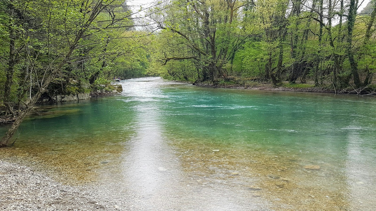 Rio de águas claras atravessando uma floresta verde e densa