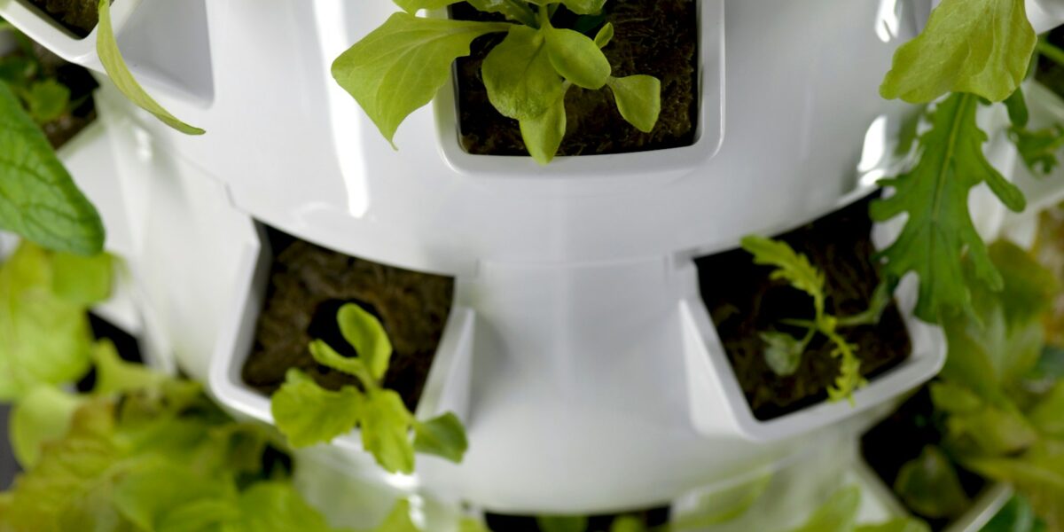 Torre branca de cultivo hidropônico com plantas verdes crescendo nas aberturas