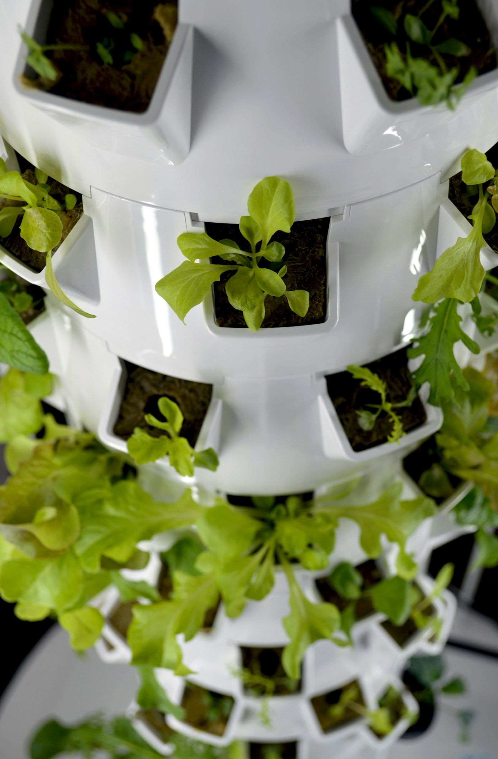 Torre branca de cultivo hidropônico com plantas verdes crescendo nas aberturas